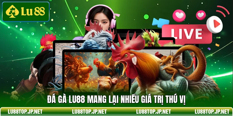 Đá gà Lu88 mang lại nhiều giá trị thú vị