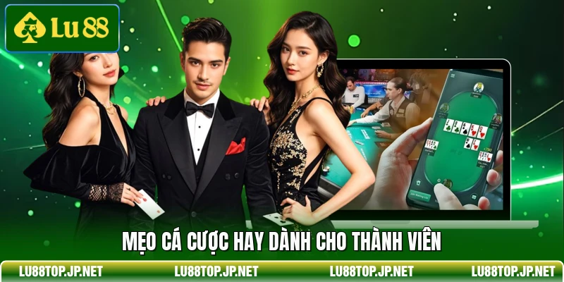 Mẹo cá cược hay dành cho thành viên